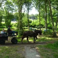 flower-camping-la-chenaie-yport-ctblr