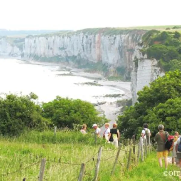 flower-camping-la-chenaie-yport-yegb1