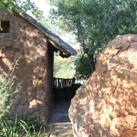 kaoxa-bush-camp-alldays-mapungubwe-national-park-gq0zd