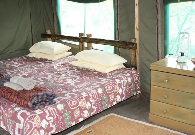 kaoxa-bush-camp-alldays-mapungubwe-national-park-n56wl