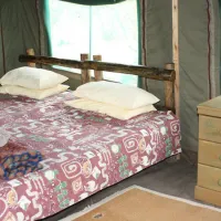 kaoxa-bush-camp-alldays-mapungubwe-national-park-n56wl