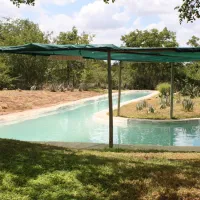 kaoxa-bush-camp-alldays-mapungubwe-national-park-vo4u7