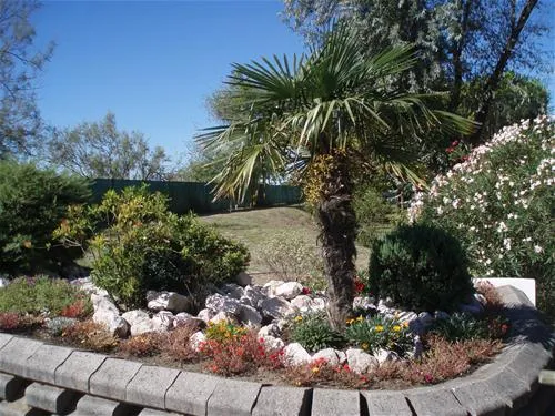 camping-village-al-boschetto-cavallino-2zvhq