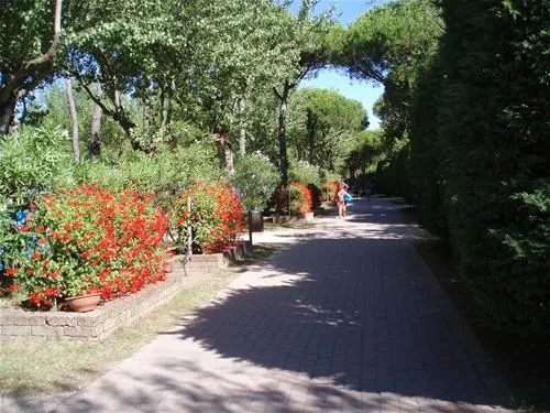 camping-village-al-boschetto-cavallino-617mk