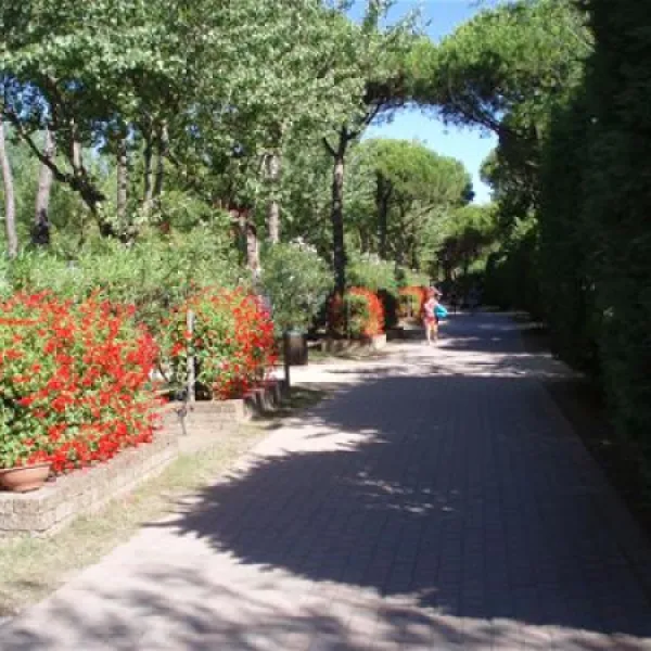 camping-village-al-boschetto-cavallino-617mk