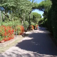 camping-village-al-boschetto-cavallino-617mk