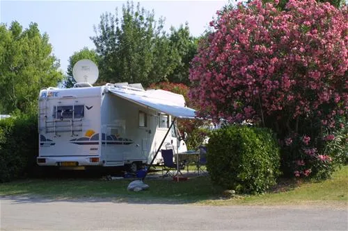 camping-les-marsouins-argeles-sur-mer-0wmpr