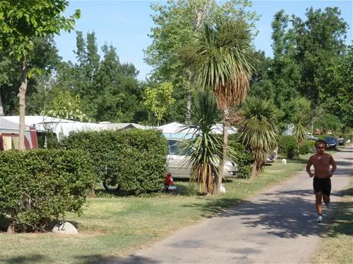 camping-les-marsouins-argeles-sur-mer-crwvd