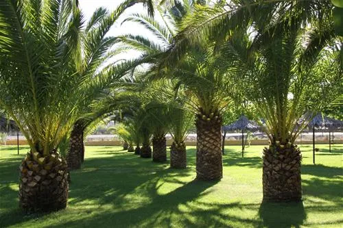 camping-caceres-caceres-qgphh