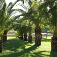 camping-caceres-caceres-qgphh