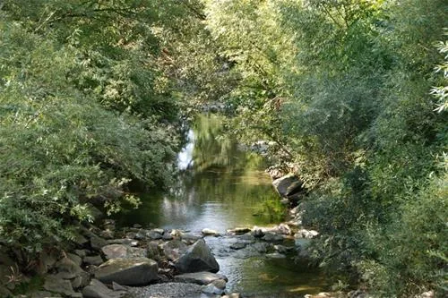 auwerkcamping-hainfeld-5sk3n
