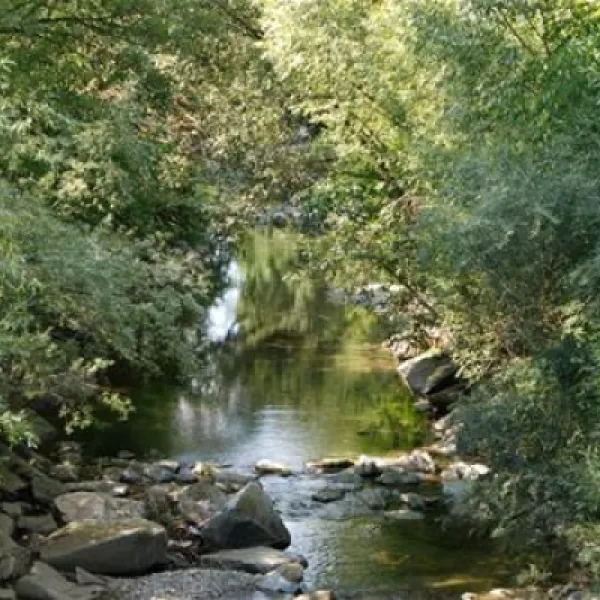 auwerkcamping-hainfeld-5sk3n