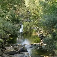 auwerkcamping-hainfeld-5sk3n