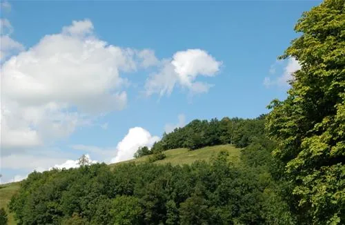 auwerkcamping-hainfeld-bssai