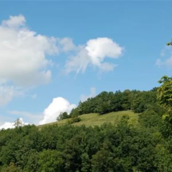 auwerkcamping-hainfeld-bssai