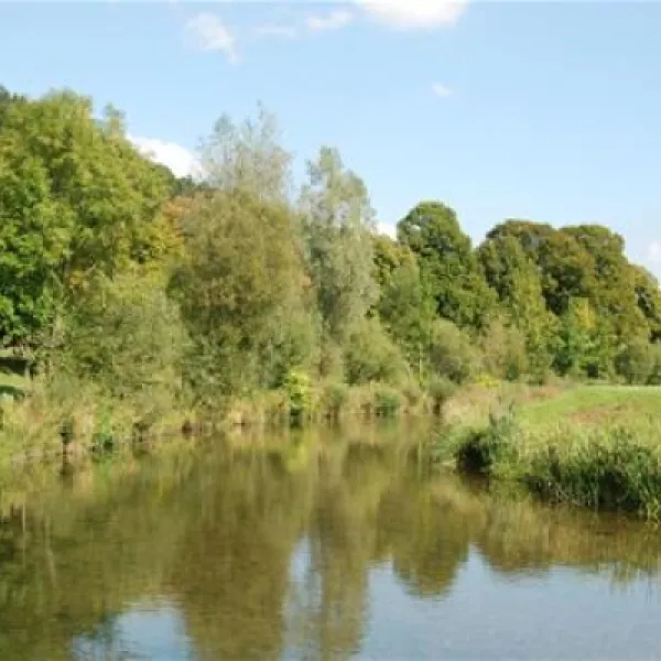 auwerkcamping-hainfeld-oliow