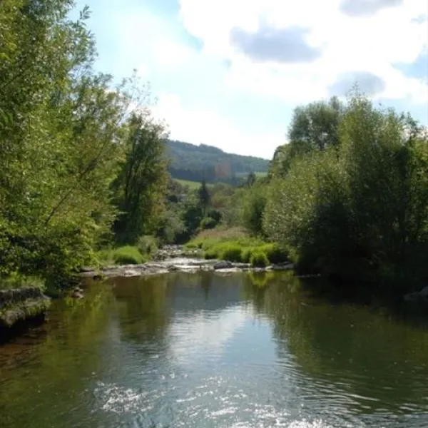 auwerkcamping-hainfeld-pxmm1