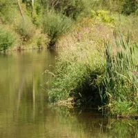 auwerkcamping-hainfeld-wwrte
