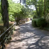 camping-les-cedres-argeles-sur-mer-79yza
