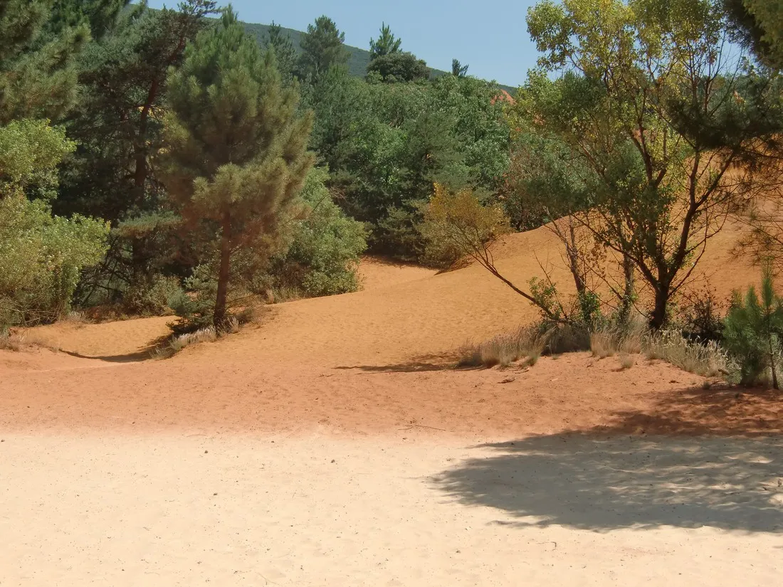 camping-les-cedres-argeles-sur-mer-ijb2x