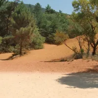 camping-les-cedres-argeles-sur-mer-ijb2x