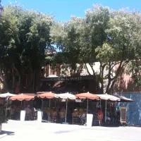 camping-les-cedres-argeles-sur-mer-uguzv