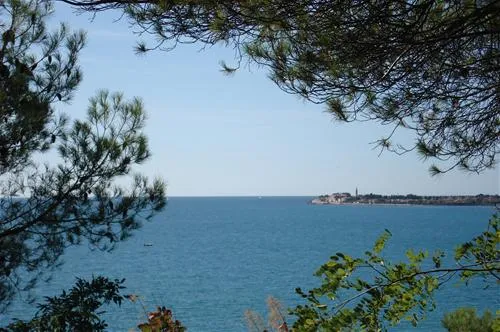 camping-lanterna-porectar-sl0yt