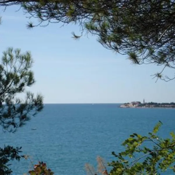 camping-lanterna-porectar-sl0yt
