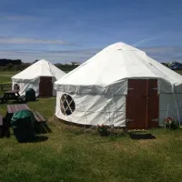 caerfai-bay-car-tent-park-st-davids-aynro