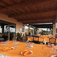 agriturismo-la-serra-del-pino-montescudaio-fqhej