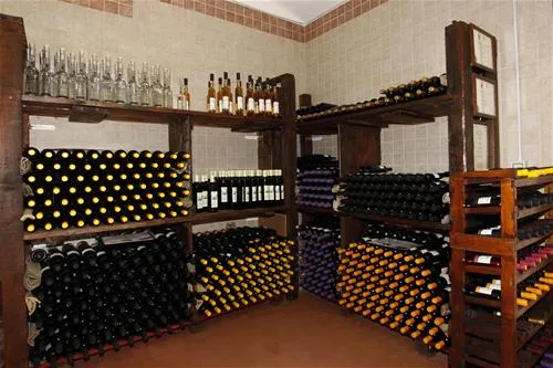agriturismo-la-serra-del-pino-montescudaio-nzixx