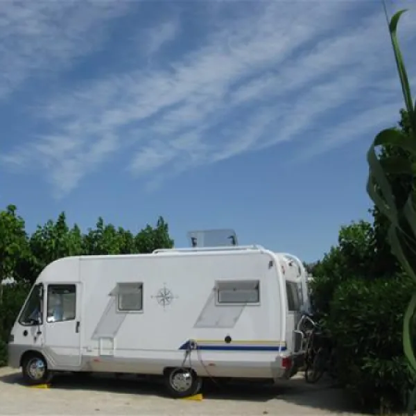 camping-kiko-park-oliva-walyf