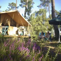 camping-landes-oceanes-st-michel-escalus-buysc