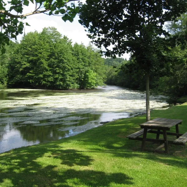 camping-municipal-les-sillons-la-celle-dunoise-tfzuw