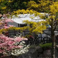 camping-ganthaler-terlanvilpian-nmd55