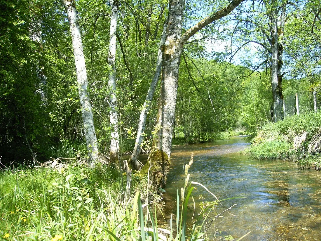 rural-lorchidee-roches-bettaincourt-p9yjw
