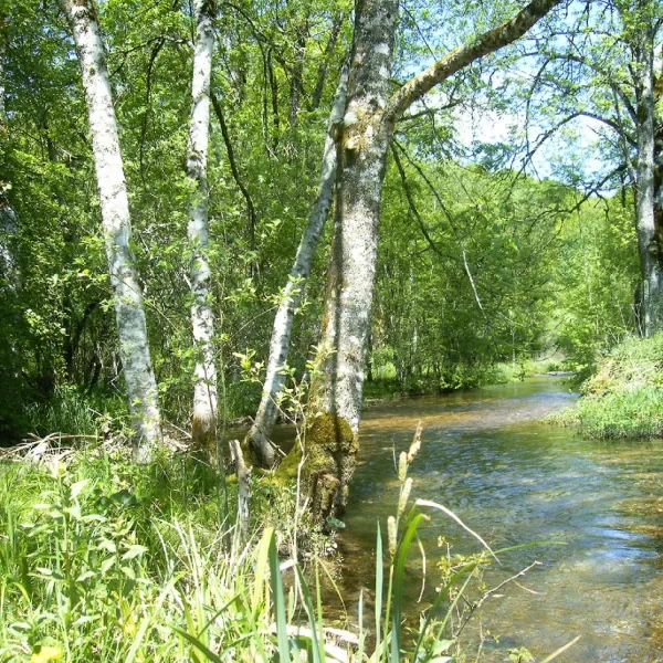 rural-lorchidee-roches-bettaincourt-p9yjw
