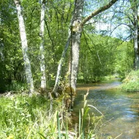 rural-lorchidee-roches-bettaincourt-p9yjw