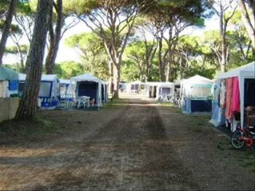 campeggio-le-marze-boschetto-holiday-marina-di-grosseto-1znp3