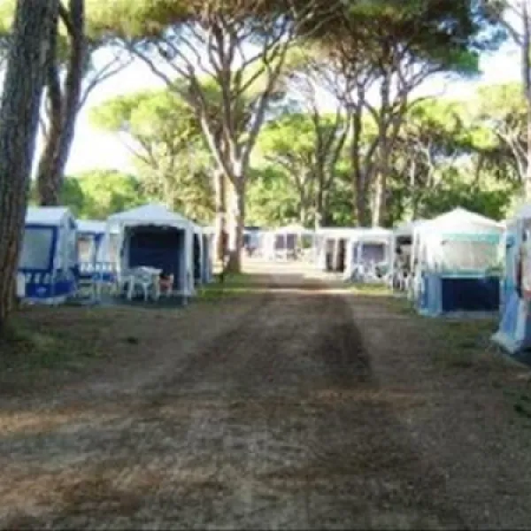 campeggio-le-marze-boschetto-holiday-marina-di-grosseto-1znp3