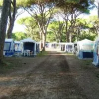 campeggio-le-marze-boschetto-holiday-marina-di-grosseto-1znp3