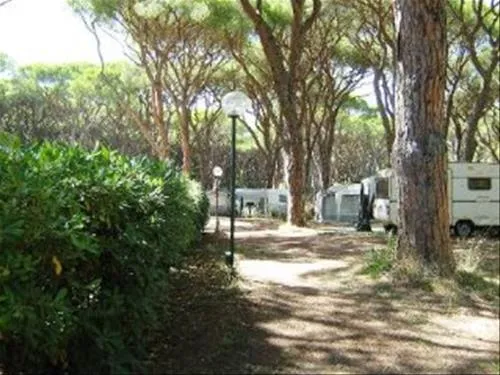 campeggio-le-marze-boschetto-holiday-marina-di-grosseto-o2htn