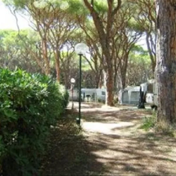 campeggio-le-marze-boschetto-holiday-marina-di-grosseto-o2htn