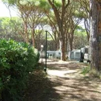 campeggio-le-marze-boschetto-holiday-marina-di-grosseto-o2htn