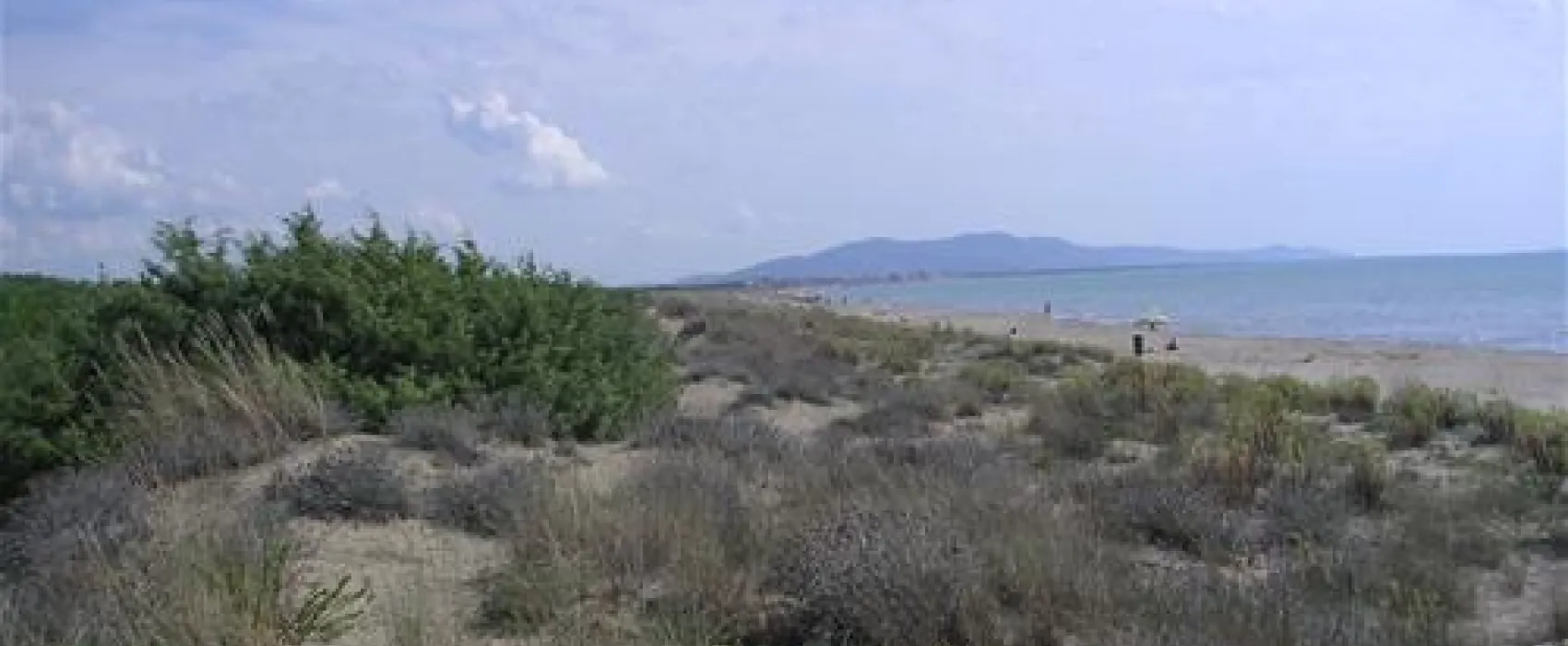 Campeggio Le Marze Boschetto Holiday