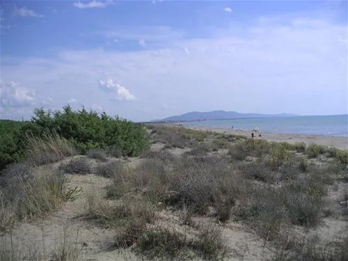 campeggio-le-marze-boschetto-holiday-marina-di-grosseto-p6dj6