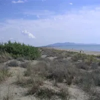 campeggio-le-marze-boschetto-holiday-marina-di-grosseto-p6dj6