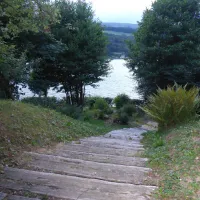 les-mouettes-st-theoffrey-9169t