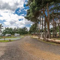 pinecones-caravan-and-camping-dersingham-hrgdv