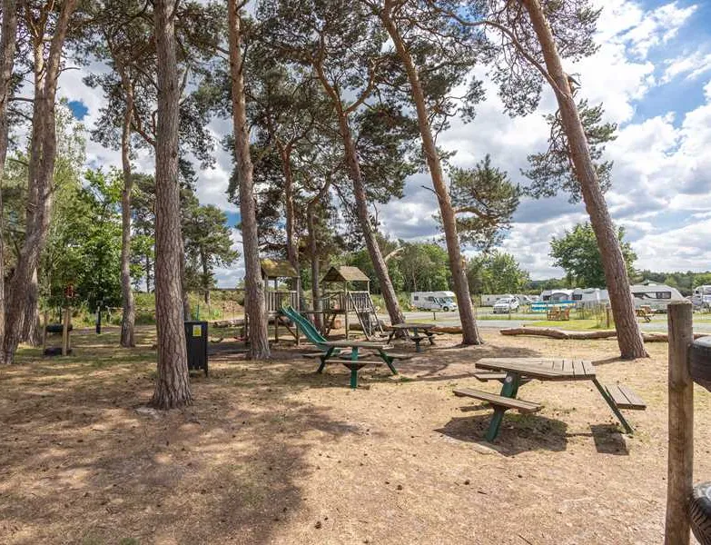 pinecones-caravan-and-camping-dersingham-jkppe
